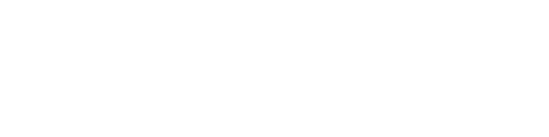 Triaxiom Security